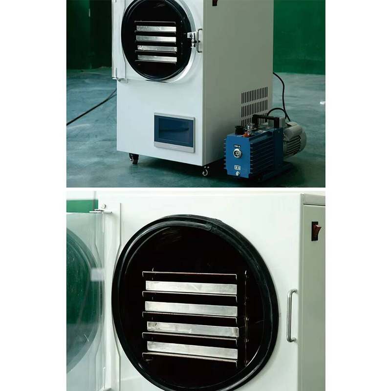 Snacks Food In Us - Multi‑Functional Household Vacuum Freeze Dryer Lyophilizer