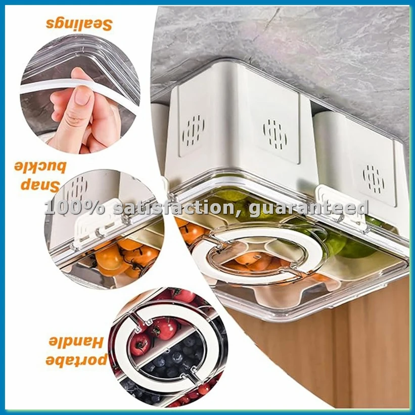 Fruit Tray for Large Picnic Re - đánh giá và giá Food Snacks Box